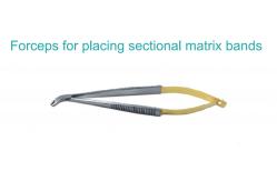 China Dental Sectional Matrix System A2 Bands Clamp Ring Resin Holder Clip Ring supplier