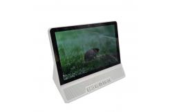 China Android Desktop Fixed Wireless Telephone 10 Touch Screen WIFI supplier