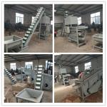 walnut cracker, walnut sheller, walnut processing machines for sale