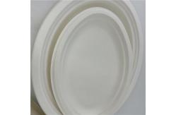 China Biodegradable Tableware Sugarcane Bagasse Pulp Paper Plate Dinnerware Sets supplier