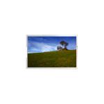 P215QAN01.1 CELL 21.5 inch 4K LCD monitor lcd screen for sale