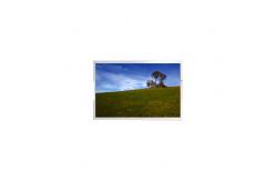 China P215QAN01.1 CELL 21.5 inch 4K LCD monitor lcd screen supplier