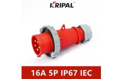 China 16A 5P IP67 IEC Phase Inverter Plug And Panel Mounted Socket supplier
