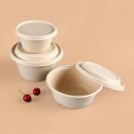 Disposable Biodegradable Take Away Pulp Sugar Cane Bagasse Bowl with Lid for sale
