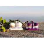 Home Disposable Plastic Shakers For Salt And Black Pepper Seasonings for sale