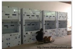 China Ventilated Chamber With PP Structure Fume hood For Phyical Laboratory supplier