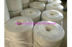 China Horticulture Vegetable Fruit Plastic Polypropylene Twine Tying Bundling Rope supplier
