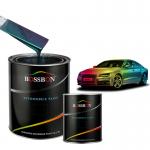 Hot Hues Pearl Color Car Paint 5 Colors Changing Chameleon Alkali Proof for sale