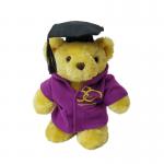 Doctorial Hat Teddy Bear Stuffed Toy OEM Custom Plush Animal Toys for sale