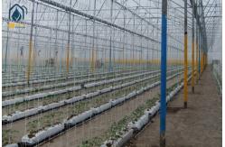 China Hydroponics Planting Trough PP Roll Drain Spacer Folding Planter Gutter For Agriculture supplier