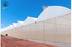 China Energy Efficient Tropical Multispan Greenhouse With Temperature And Humidity Regulation supplier