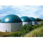 Landfill Leachate Aquaculture Sewage Bean Products Wine Anaerobic Reactor for sale