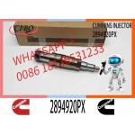 Common Rail Injector Fuel Injector 2894920PX 2058444 2482244 2031386 For ISZ13 Excavator DC09 DC16 DC13 for sale