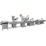 GMP  Round Bottle Medicine Packaging Tablet Bottle Filling Machine 8 Channel for sale