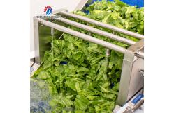 China 380V Integrating Spinach Washing Machine , Blasting Isolating Potato Cleaning Machine supplier