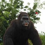 Outdoor Realistic Animatronic Animals Gorilla Model Natural Color for sale