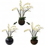 Lifelike Green Artificial Tropical Plant For Office Table Moth Orchid for sale