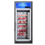 Food Thawing Cabinet Commercial Meat Single Door Thaw Cabinet for sale