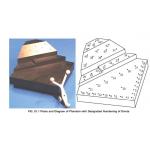 ASTM F2554 22 Phantom Evaluating Tracking Accuracy Of A System for sale