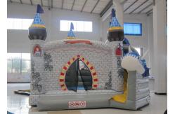 China Digital Printing Dragon Large Bouncy Castle , Waterproof Princess Jumping Castle supplier