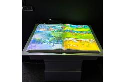 China New Advertising Interactive Projection Virtual E-Book For Product Show supplier