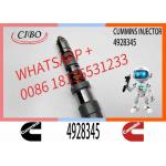 Q19 Diesel Engine Common Rail Injector 4087888 4087889 4928348 4010025 4928345 4928346