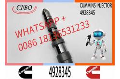 China Q19 Diesel Engine Common Rail Injector 4087888 4087889 4928348 4010025 4928345 4928346 supplier
