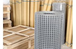 China 50x50  Welded Wire Mesh Panel And Galvanized Fence Wire Mesh supplier