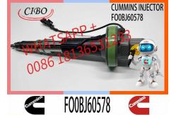 China Fuel Injector Assembly Y431K05246 FO0BJ60578 FOOBJ60783 1000019903 For Qsk19 Engine supplier