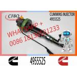 Diesel QSK19 Engine Common Rail Fuel Injector 4955524 4955525 2867149 2882079 4964173