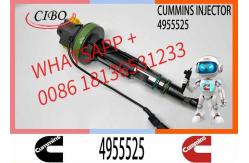 China Diesel QSK19 Engine Common Rail Fuel Injector 4955524 4955525 2867149 2882079 4964173 supplier