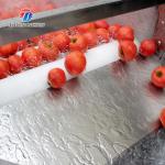 2.5KW Potato Flat Roller Cleaning Equipment Seafood Cleaning Machine