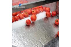 China 2.5KW Potato Flat Roller Cleaning Equipment Seafood Cleaning Machine supplier