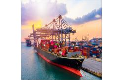China DDP International Sea Freight Forwarding From China To Singapore supplier