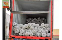 China PP Materials Plant Climbing Netting Insect Barrier Netting 3.0M Wide supplier