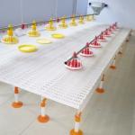 Chicken Farm Plastic Slatted Flooring For Sheep for sale