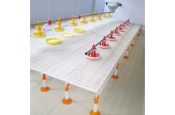 China Chicken Farm Plastic Slatted Flooring For Sheep supplier
