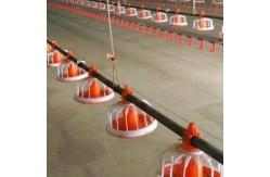 China Duck Layer Hens Chicken Shed Broiler Poultry Equipment supplier