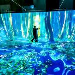 Virtual Learning Spaces Immersive Classroom Immersive Education Application for sale