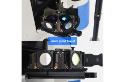 China Opto Edu A16.1097 Lcd Touch Screen Fluorescence Stereomicroscope supplier