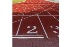China Abrasion Resistance Self Knot Pattern Jogging Track Material Fadeless supplier