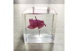 China Cubic Flower Paperweight With Dandelion Inside Embed Processing supplier