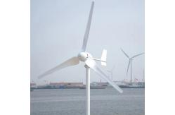 China Home Use Wind Power System Spiral With Wind Solar Hybrid Controller supplier