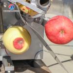 Guava Fixed Material Socket Fruit And Vegetable Peeler Machine Electric 304 SS Apple