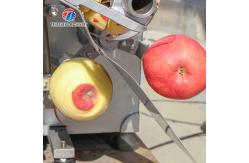 China Guava Fixed Material Socket Fruit And Vegetable Peeler Machine Electric 304 SS Apple supplier