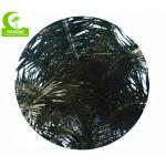 Royal 15m Artificial Coconut Palm Trees For Outdoor And Indoor