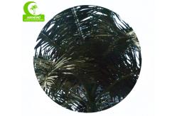China Royal 15m Artificial Coconut Palm Trees For Outdoor And Indoor supplier