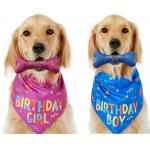 Dog Birthday Stocked Occasion Bandana Bone Chew Toy Set Pet Custom Printed Bandanas for sale