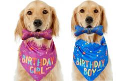 China Dog Birthday Stocked Occasion Bandana Bone Chew Toy Set Pet Custom Printed Bandanas supplier