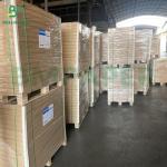 200g - 365g Clay Coated Recycled Paperboard CCKB Kraft Back For Carton Boxes